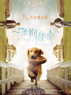 如初相见